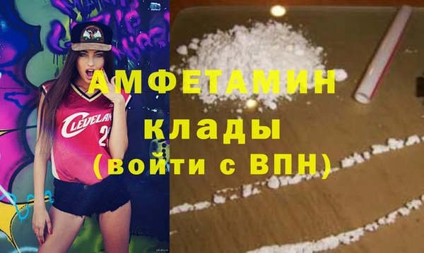 прущие грибы Медногорск
