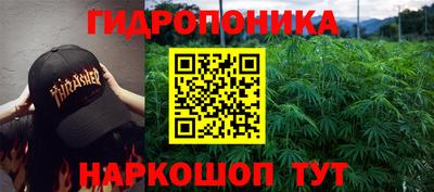 прущие крисы Аргун