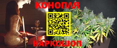 прущие крисы Аргун