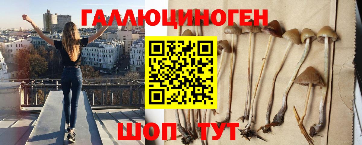 Белорецк  Псилоцибиновые грибы GOLDEN TEACHER  купить закладку  Псилоцибиновые грибы Magic Shrooms  Вход с VPN 